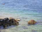 Kanegra beach