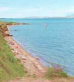 Sandy beach
