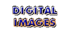 Digital Erotic Images