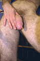 head on dick