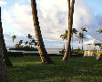 kahala2.jpg
