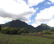 palilookout.jpg