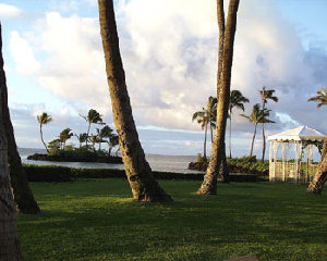 kahala2.jpg