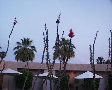 plants.jpg