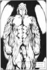 Osze-Sacrifice10.jpg (84kb)