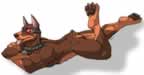jxb21.jpg (62kb)