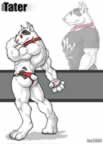 jxb22.jpg (94kb)