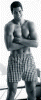 BVD4_R2.gif (91466 bytes)