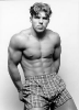 boxerst.gif (106143 bytes)