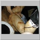 kellers20020630ca.jpg