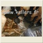 keller030223w106.jpg
