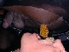 scat party