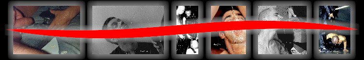 wt1-11.jpg (32929 octets)