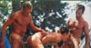 pic3__2