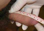 Cock Measurement Pic