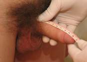 Cock Measurement Pic