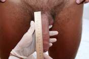 Cock Measurement Pic