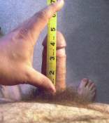 Cock Measurement Pic