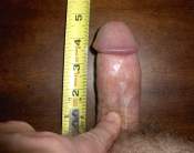 Cock Measurement Pic