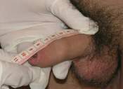 Cock Measurement Pic