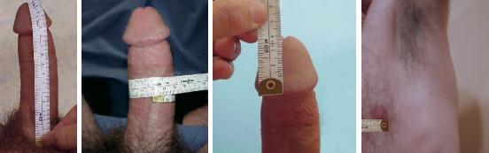 Penis Size Survey