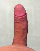 Penis Pic