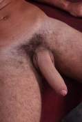 Penis Pic