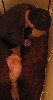 140_4019.jpg