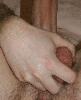IMG_2601a.jpg