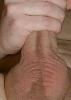 IMG_2622b.jpg