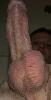 IMG_2625a.jpg