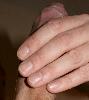 IMG_2626a.jpg