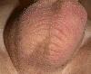 IMG_2626b.jpg