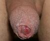 IMG_2631a.jpg