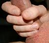 IMG_2643a.jpg
