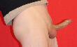 IMG_0038a.jpg