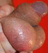 IMG_0478a.jpg