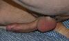 IMG_2781A.jpg