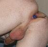 IMG_2784A.jpg