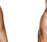 Muscle Cum