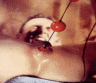 thm_0013.gif