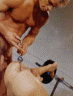 thm_0029.gif