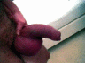 thm_073.gif