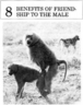 thm_apes-1.gif