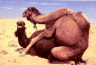 thm_b-camels.gif