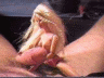 thm_b132.gif