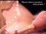 thm_b135.gif