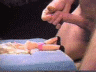 thm_b138.gif