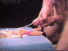 thm_b141.gif