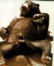 thm_bear.gif